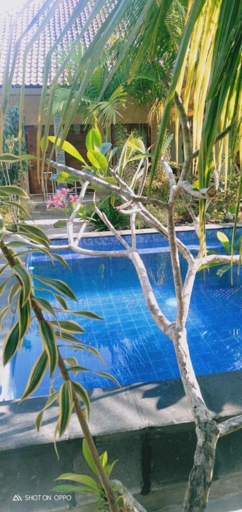 Belong Home Stay Lembongan Zewnętrze zdjęcie