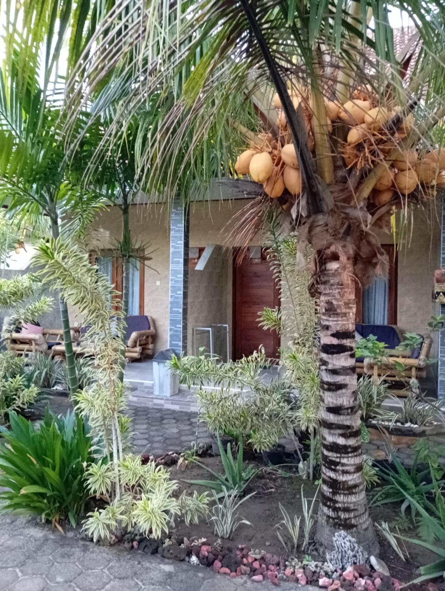 Belong Home Stay Lembongan Pokój zdjęcie